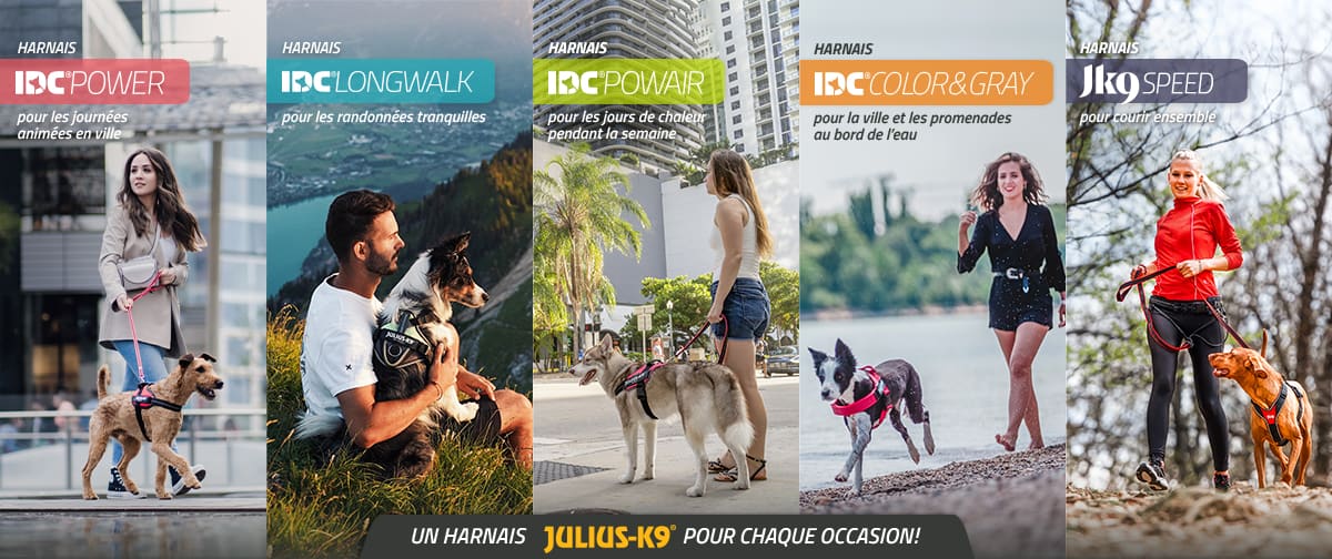 Harnais Julius-K9 IDC®Power BABY Rouge pour chiens de 1 à 5 kg (2X-S) -  PETSPLANS