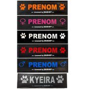 Logos personnalisables pour harnais Julius-K9 texte & couleur au choix