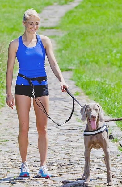 Ceinture pour courir avec son chien best sale